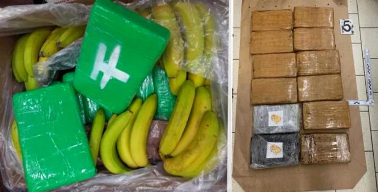 ISTRAŽNI ORGANI Pošiljke banana sve češće pokriće za šverc droge